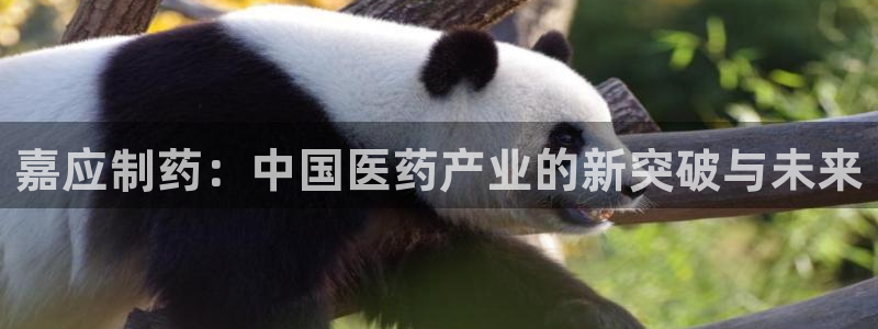 j9九游会老哥俱乐部交流区