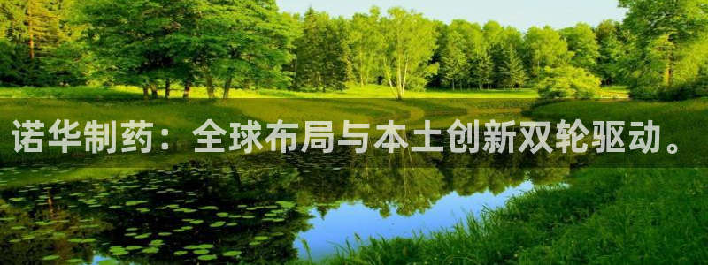 九游老哥俱乐部官网登录不了：诺华制药：全球布局与本土创新双轮驱动。