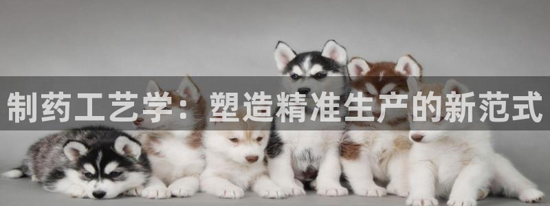 九游老哥俱乐部官网登录入口：制药工艺学：塑造精准生产的新范式