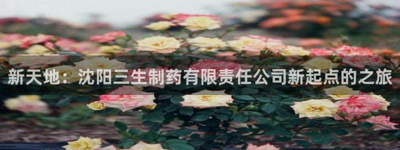 九游会老哥俱乐部社区论坛