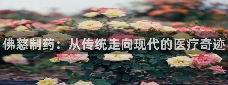 九游老哥俱乐部官网登录入口：佛慈制药：从传统走向现代的医疗奇迹