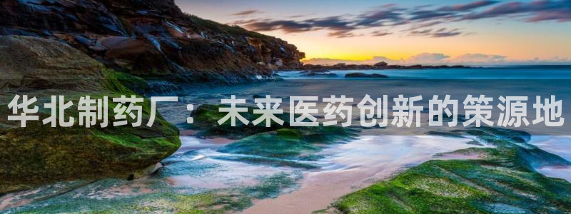 老哥吧九游会下架吗