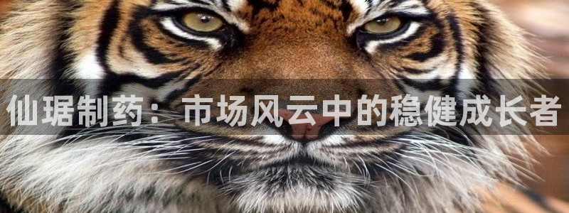 九游会老哥俱乐部必备的交流社区论坛