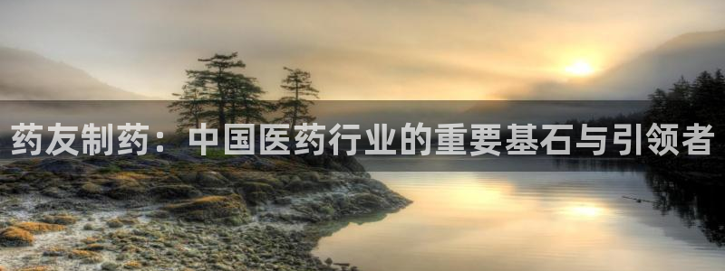 老哥俱乐部是干什么的啊：药友制药：中国医药行业的重要基石与引领者