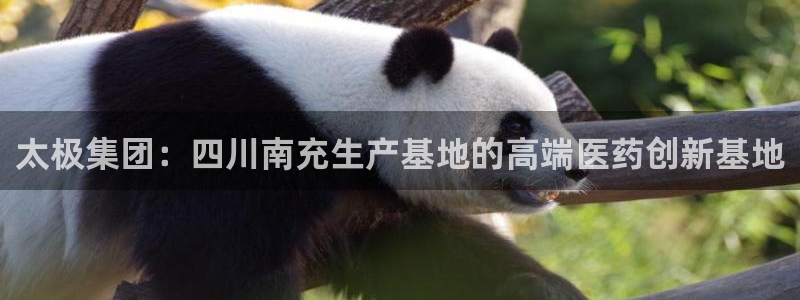 九游老哥俱乐部官网登录不了：太极集团：四川南充生产基地的高端医药创新基地