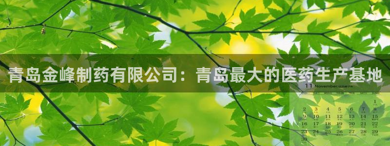 九游会老哥俱乐部官网首页：青岛金峰制药有限公司：青岛最大的医药生产基地
