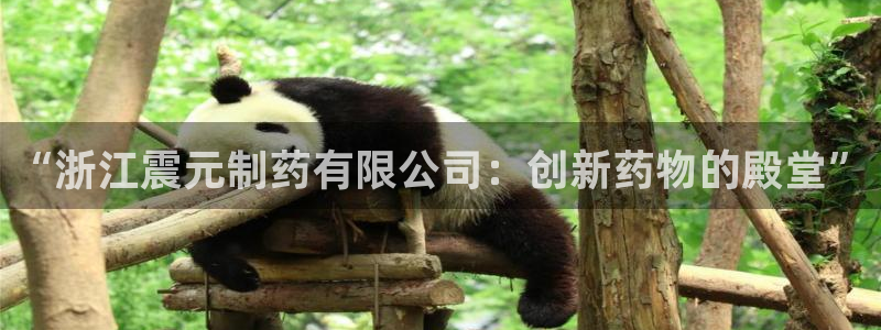 老哥俱乐部是干什么的啊：“浙江震元制药有限公司：创新药物的殿堂”