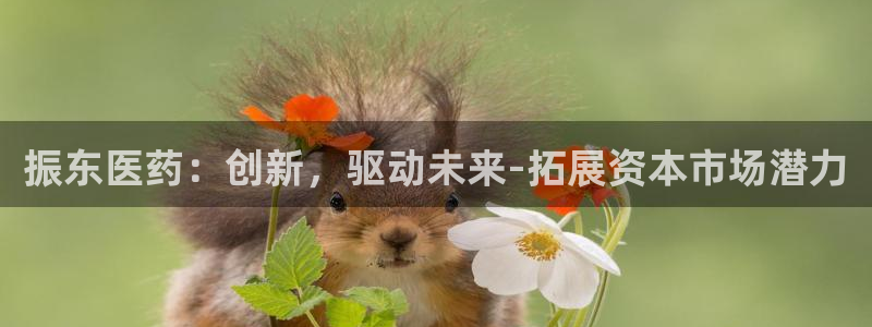 九游会老哥俱乐部官网首页论坛