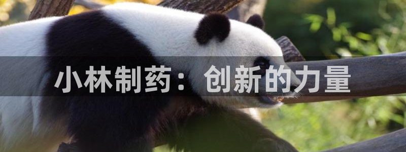 九游老哥俱乐部官网登录不了：小林制药：创新的力量