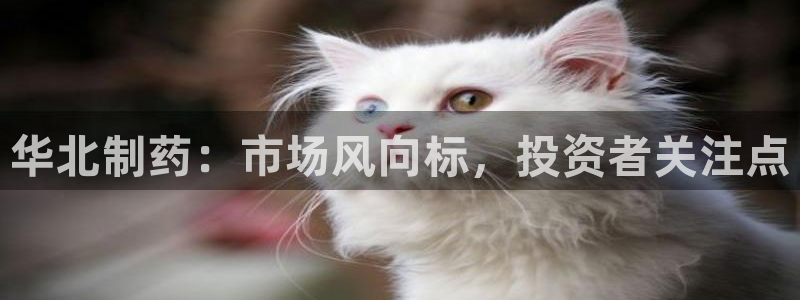 九游会老哥俱乐部必备的交流社区论坛