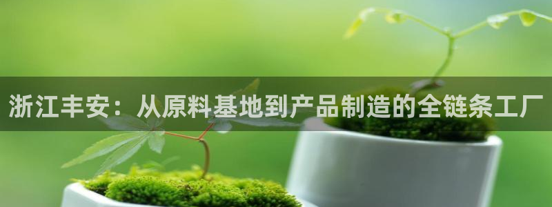 九游会老哥必备的交流社区：浙江丰安：从原料基地到产品制造的全链条工厂