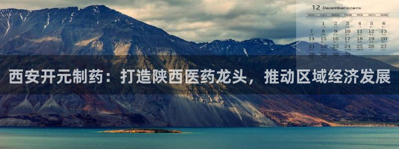 九游会老哥俱乐部官网首页：西安开元制药：打造陕西医药龙头，推动区域经济发展