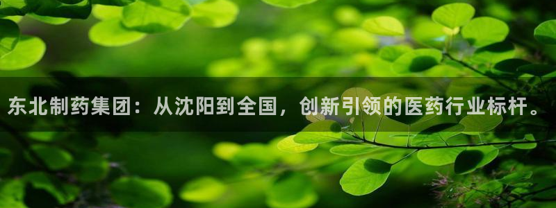 9游会老哥：东北制药集团：从沈阳到全国，创新引领的医药行业标杆。
