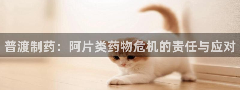 ag九游老哥俱乐部：普渡制药：阿片类药物危机的责任与应对
