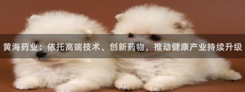 九游会老哥俱乐部论坛版：黄海药业：依托高端技术、创新药物，推动健康产业持续升级