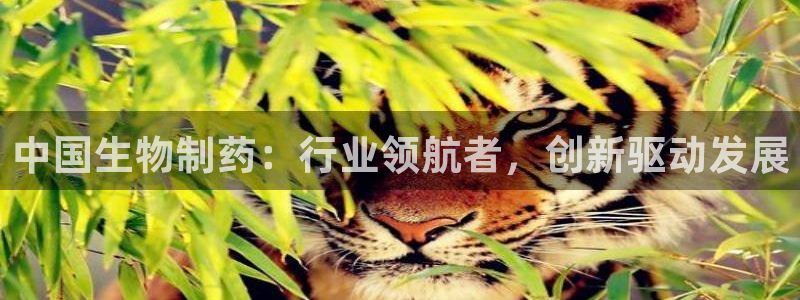 九游会老哥必备的交流社区：中国生物制药：行业领航者，创新驱动发展