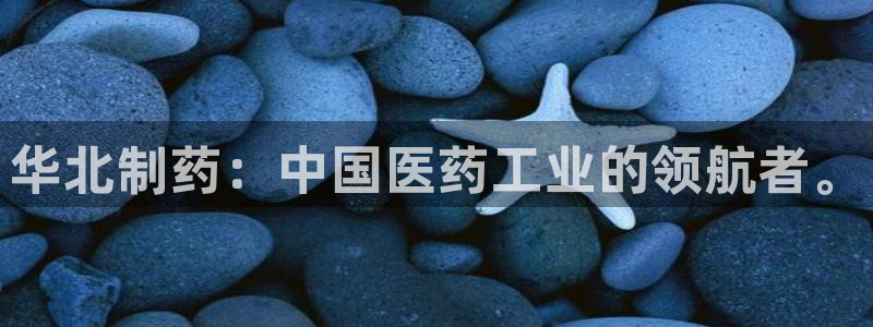 九游会老哥必备的交流社区：华北制药：中国医药工业的领航者。