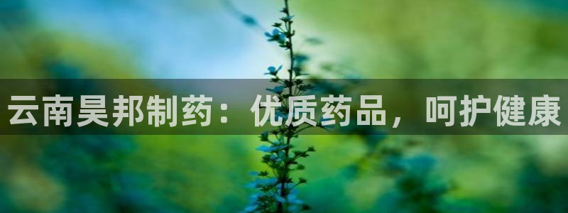 老哥俱乐部是干什么的啊：云南昊邦制药：优质药品，呵护健康