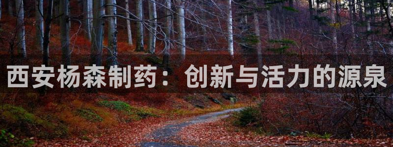 九游会老哥：西安杨森制药：创新与活力的源泉