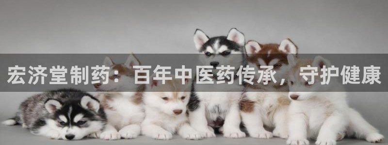 九游会老哥俱乐部：宏济堂制药：百年中医药传承，守护健康
