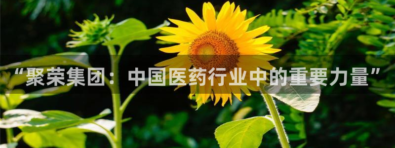 九游老哥俱乐部官网登录不了：“聚荣集团：中国医药行业中的重要力量”