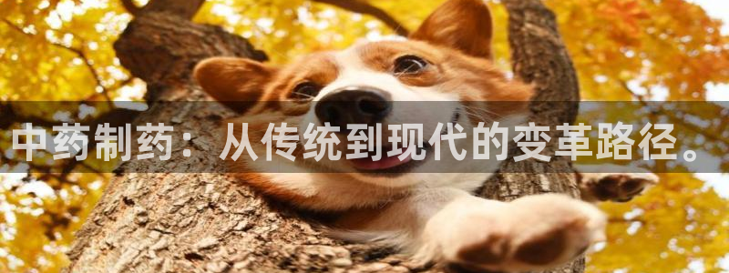 9游会老哥：中药制药：从传统到现代的变革路径。