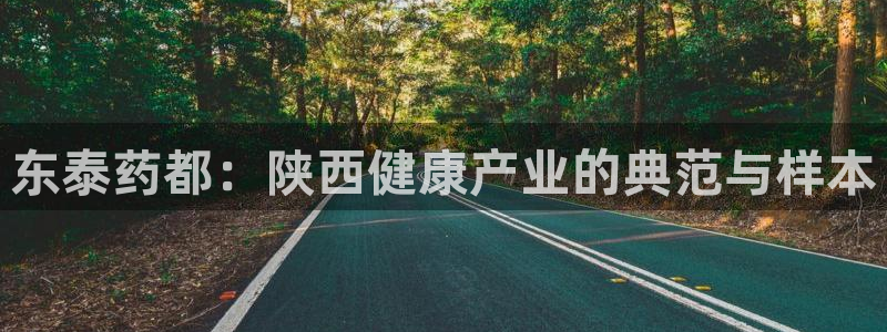 九游会老哥必备的交流社区：东泰药都：陕西健康产业的典范与样本