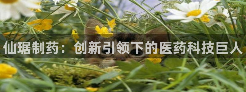 老哥吧九游会：仙琚制药：创新引领下的医药科技巨人