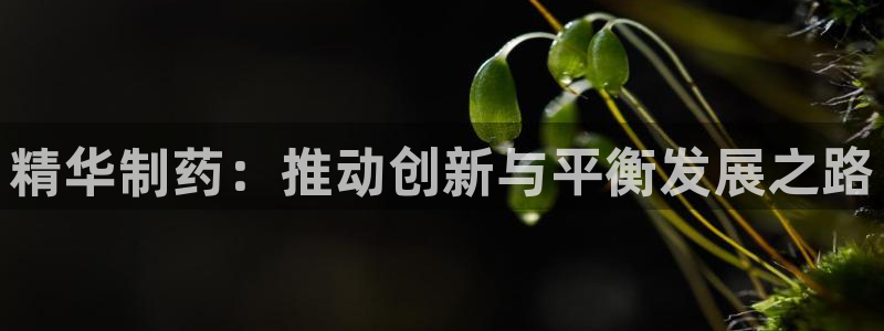 九游老哥俱乐部官网登录不了：精华制药：推动创新与平衡发展之路