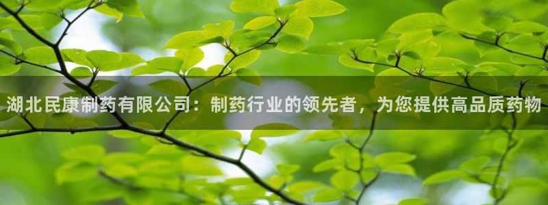 9游会老哥俱乐部：湖北民康制药有限公司：制药行业的领先者，为您提供高品质药物