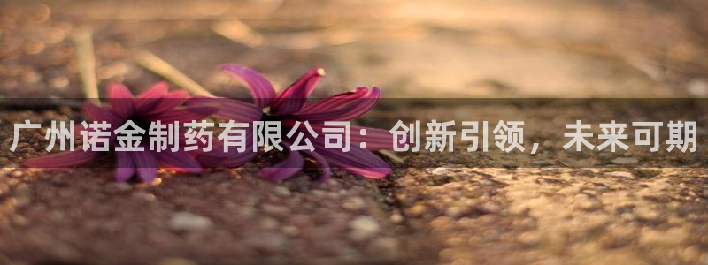 九游会老哥俱乐部社区论坛：广州诺金制药有限公司：创新引领，未来可期