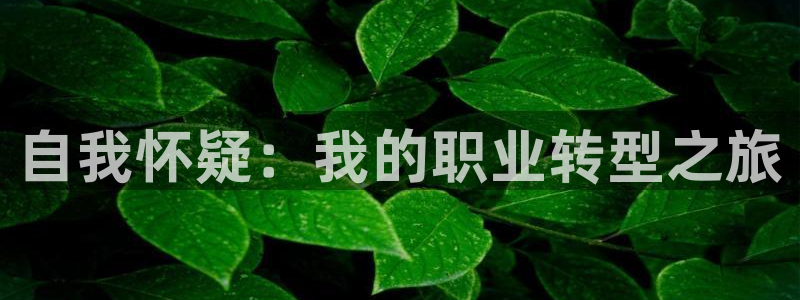 九游会老哥俱乐部交流社区：自我怀疑：我的职业转型之旅