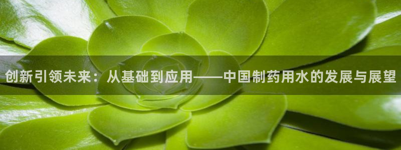 九游会老哥俱乐部社区论坛