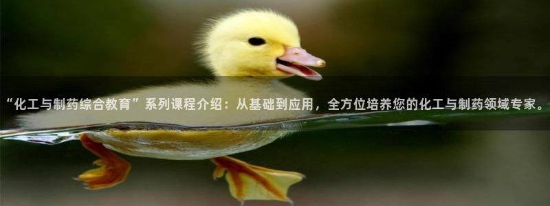 九游会老哥俱乐部官方网站:“化工与制药综合教育”系列课程介绍